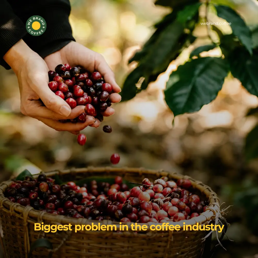 Coffee Packaging Design